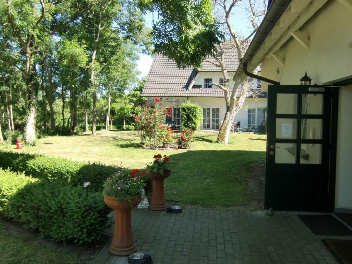 Auszeit Auf Rugen Haus Nr. 8 Leilighet Nardevitz Rom bilde